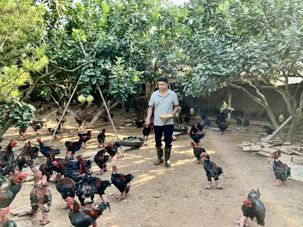 Hợp tác xã Chăn nuôi và kinh doanh gà Đông Tảo được vinh danh tại Chương trình “Tự hào Nông dân Việt Nam”