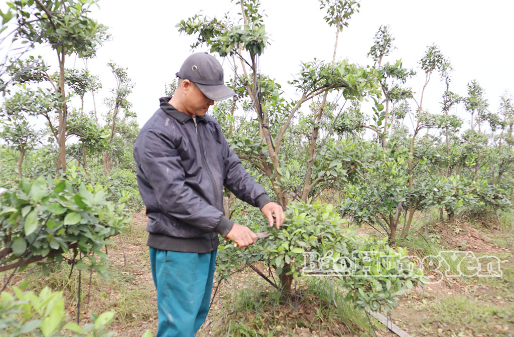 Đồng hành với nông dân phường Sơn Nam phát triển kinh tế