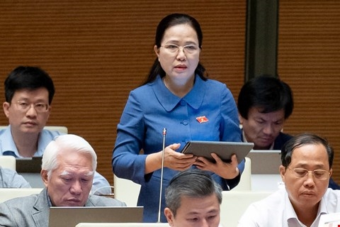 Cân nhắc mức xử phạt vi phạm kiểm toán độc lập