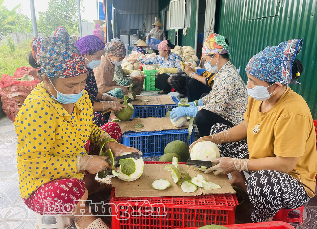 Phụ nữ xã Hưng Hà xây dựng thương hiệu nông sản quê hương