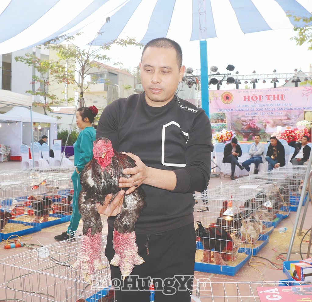 Giữ gìn thương hiệu gà Ðông Tảo