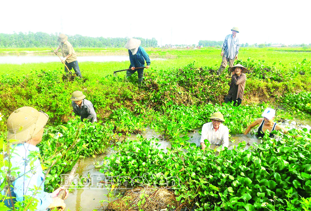 Lực lượng cựu chiến binh tỉnh góp phần quan trọng giữ vững an ninh trật tự tại cơ sở