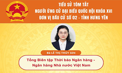 TIỂU SỬ VÀ CHƯƠNG TRÌNH HÀNH ĐỘNG CỦA NGƯỜI ỨNG CỬ ĐẠI BIỂU QUỐC HỘI KHÓA XVI: BÀ LÊ THỊ THÚY SEN