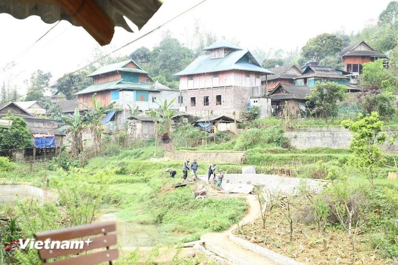 Xóa nhà tạm: 